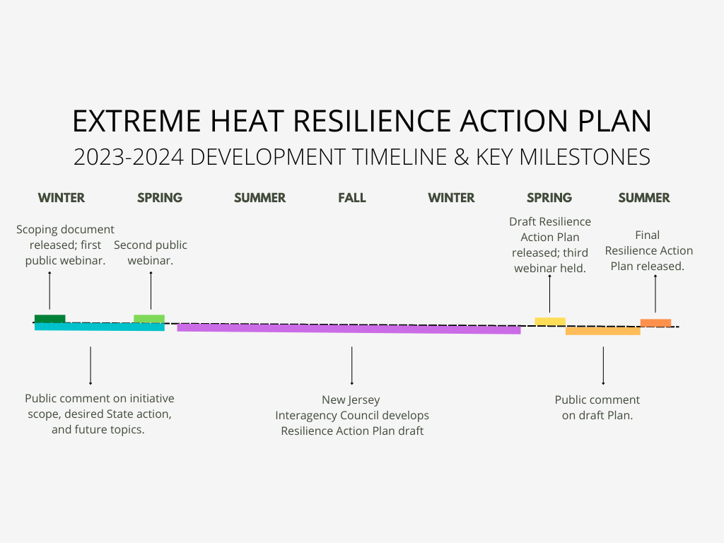 Resilience Action Plans Timeline