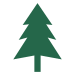 Plant and Protect Trees