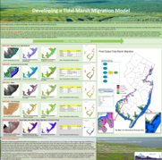 Marsh Migration Index