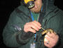 Dave Golden swabs a tiger salamander