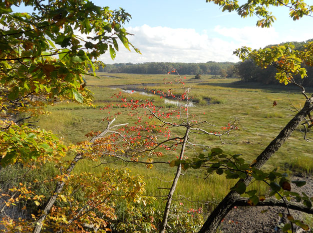 Hidden Gems: Cheesequake State Park