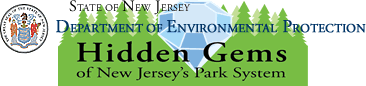 State of New Jersey Department of Environmental Protection