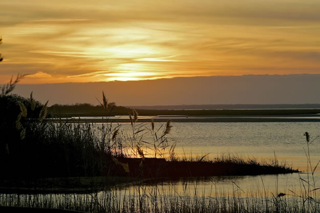 Hidden Gems: The Wilder Side of Island Beach State Park