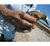 A researcher holds a red knot plucked from a net