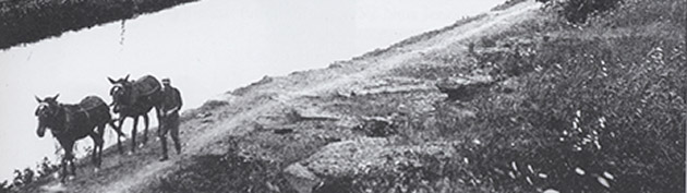 Old black and white photo of mules and tender walking on the canal path