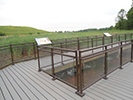 Hawk Rise Sanctuary