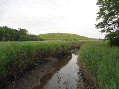 Hawk Rise Sanctuary with landfill at top