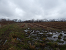 Turtle Creek Site