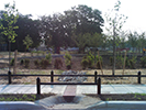 Camden Rain Garden picture