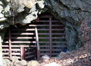 Hibernia Mine bat gate