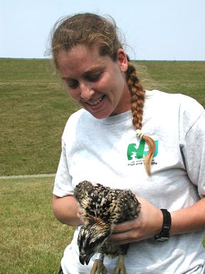 Biologist with banded chick