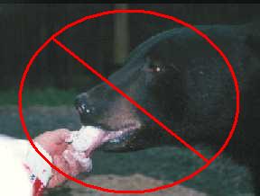 Do not feed bears! Do not feed bears!