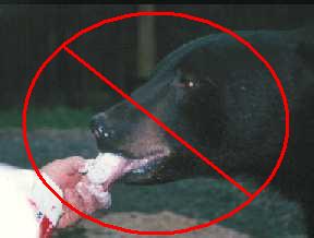 Do not feed bears!