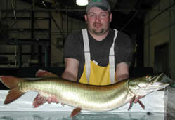 Mercer Lake muskellunge