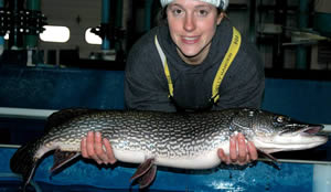 Budd Lake northern pike