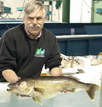 Swartswood Lake walleye