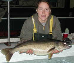 Swartswood Lake walleye