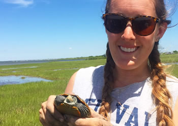 Diamondback Terrapins are a study focus of study Diamondback Terrapins are a study focus of study