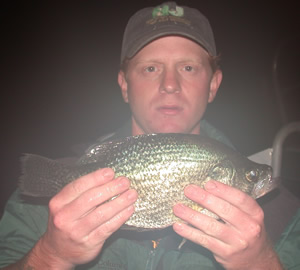 Black crappie