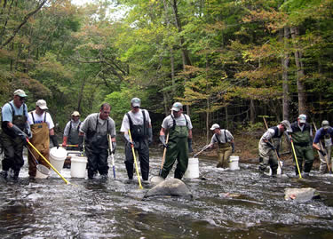 Electrofishing Ken Lockwood Gorge