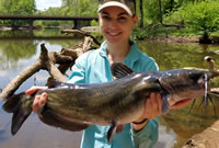 Biologist with Channel Catfish