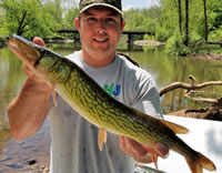 Biologist with Chain Pickerel