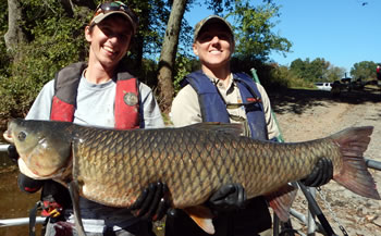 Massive Grass Carp