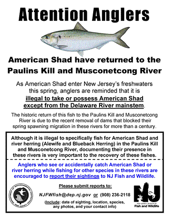 Report Shad Sign