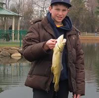 Dahnert's Lake Trout