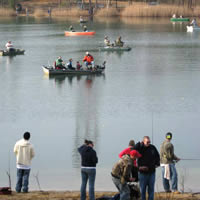 Oak Pond.Trout