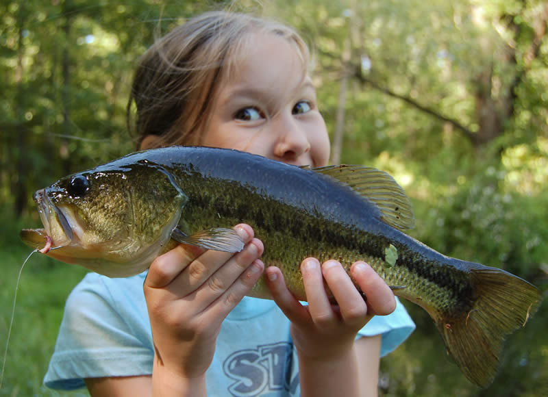 NJDEP Division of Fish & Wildlife - Summertime Bass Fishing is