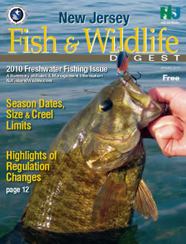 Fishing Digest Cover