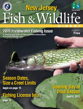 Fishing Digest Cover