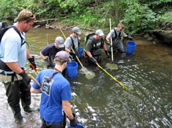 Crew electrofishing stream