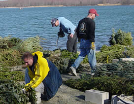 Rising Sun Bassmasters volunteers prepare trees
