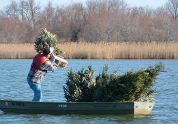 Deploying tree in Assunpink Lake