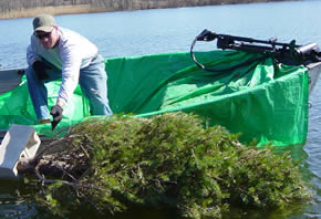 Bucketmouth Brigade volunteer deploys trees