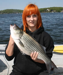 Angler with hybrid bass