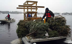 Load of trees on boat