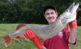 Record northern pike