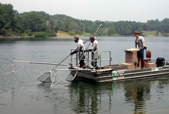 Electrofishing boat