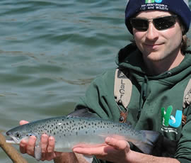 Beautiful salmon stocked in Tilcon Lake