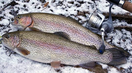 Two winter rainbows