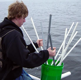 Tom prepares habitat structure