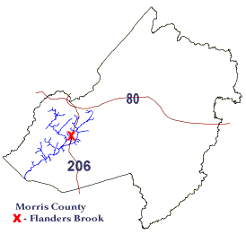 Morris county Map
