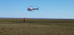 Moving geese toward nets