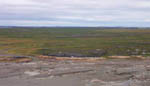 Mud flats and salt marsh habitat