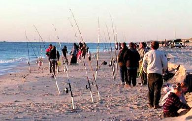 NJDEP Division of Fish & Wildlife - Governor's Surf Fishing Tournament