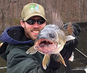 Greenwood Lake walleye