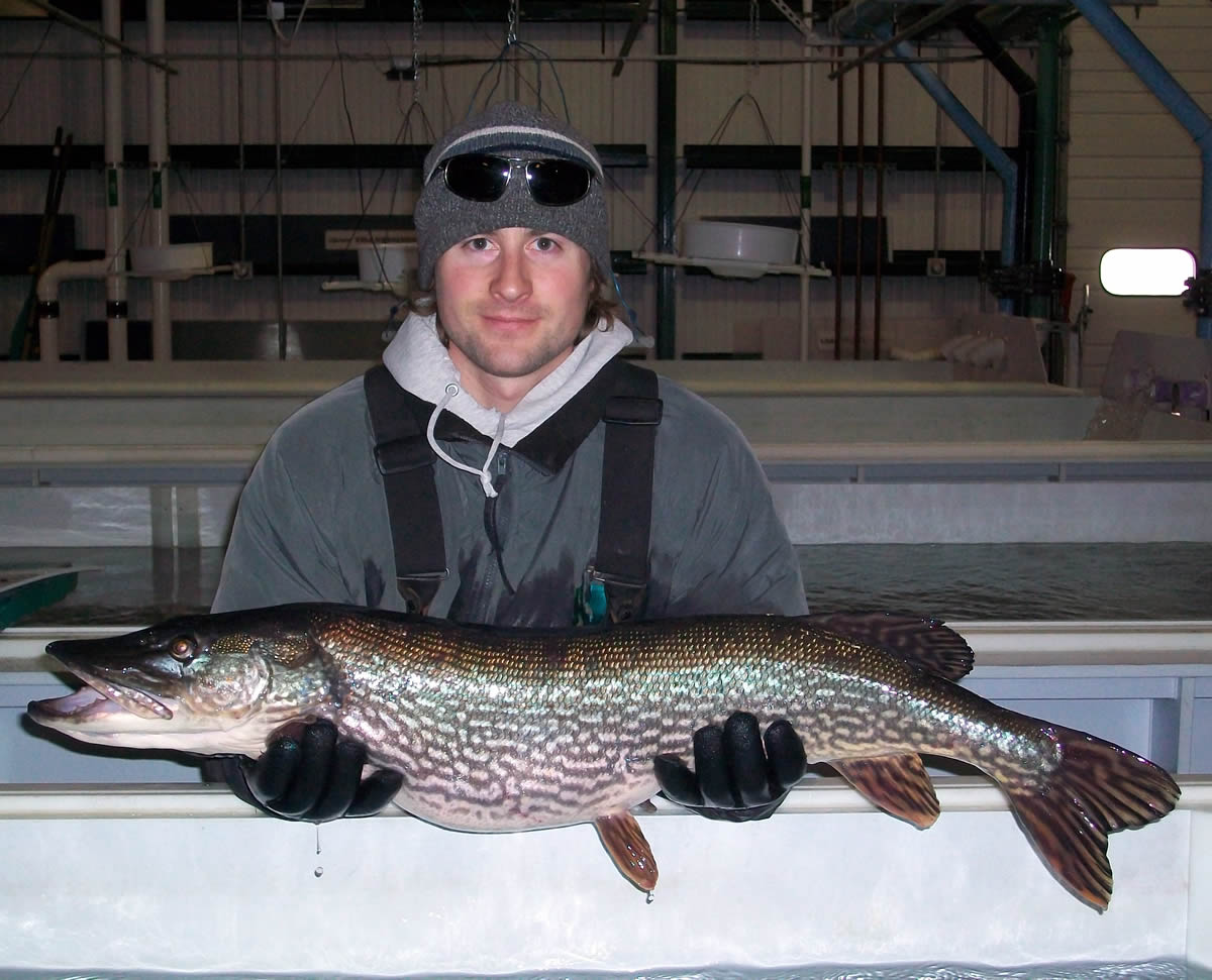njdep-division-of-fish-wildlife-hackettstown-state-fish-hatchery